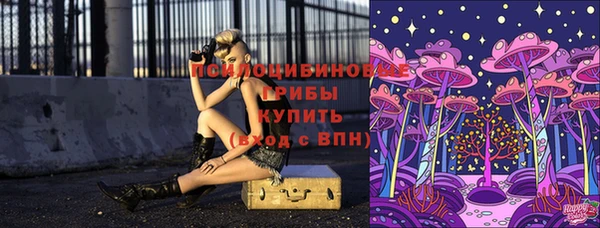 молекула духа Верея
