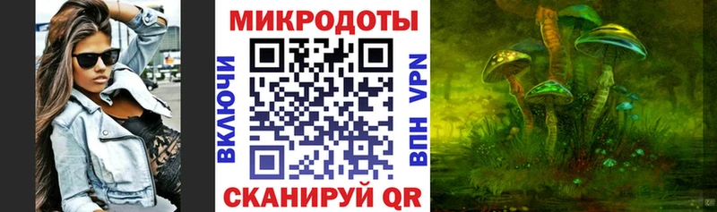 Галлюциногенные грибы Psilocybe Горячеводский